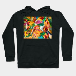 Danza cromatica Hoodie